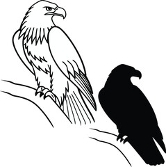 Eagle Iconic Bird Vector Illustration

