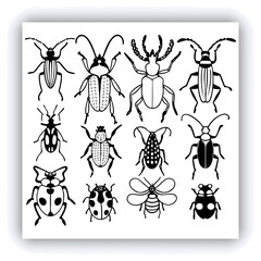 Set of insect illustrations, butterfly, caterpillar, cricket, ant, rhinoceros beetle, stag beetle, ladybug, cockchafer, realistic in 3d style.