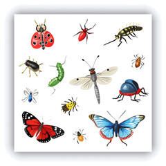 Set of insect illustrations, butterfly, caterpillar, cricket, ant, rhinoceros beetle, stag beetle, ladybug, cockchafer, realistic in 3d style.