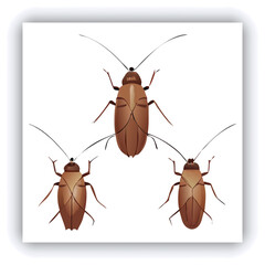 Set of insect illustrations, butterfly, caterpillar, cricket, ant, rhinoceros beetle, stag beetle, ladybug, cockchafer, realistic in 3d style.