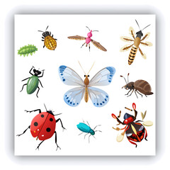 Set of insect illustrations, butterfly, caterpillar, cricket, ant, rhinoceros beetle, stag beetle, ladybug, cockchafer, realistic in 3d style.