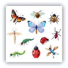 Set of insect illustrations, butterfly, caterpillar, cricket, ant, rhinoceros beetle, stag beetle, ladybug, cockchafer, realistic in 3d style.