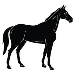 Elegant Horse Silhouette Graphic in Simple Black Design