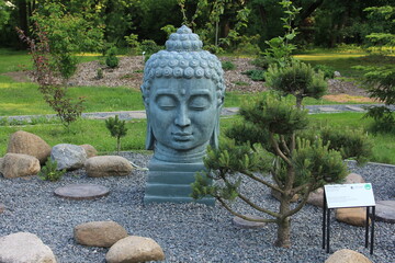 Tranquil Buddha Head Sculpture in Japanese Rock Garden
