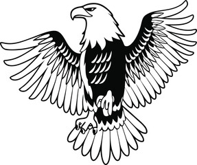 Fierce Eagle Head Vector Illustration
