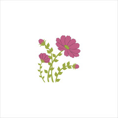 Flower illustration