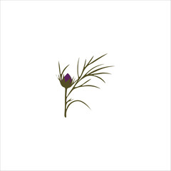 Flower illustration