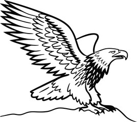 Bald Eagle Outline Vector Illustration
