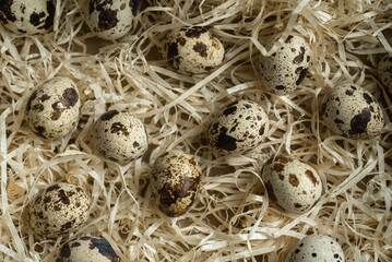 quail eggs scattered on a wooden surface by straw, Still life from above