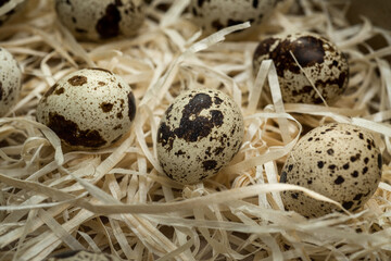 close-up of spotted, quail eggs surrounded by decorative straw