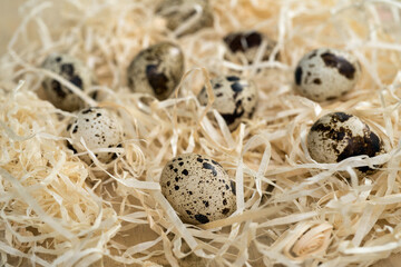 spotted, quail eggs close-up surrounded by decorative straw