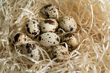 spotted quail eggs surrounded by decorative straw nest, from above