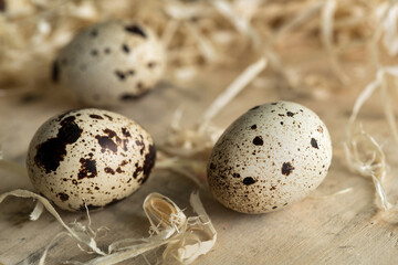 Still life with spotted, quail eggs on a straw