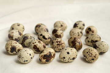 spotted quail eggs, scattered on light fabric
