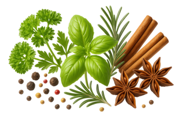 A variety of herbs and spices including rosemary, basil, parsley, cinnamon sticks, star anise, and mixed peppercorns.