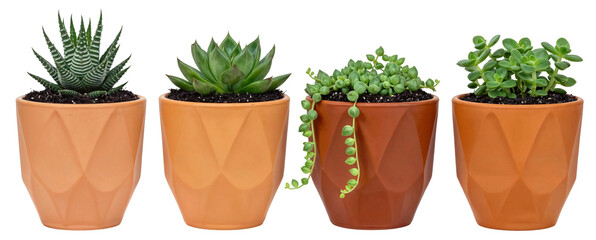 Modern Terracotta Planters in Various Sizes for Indoor and Outdoor Plants