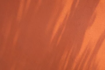 background of orange wall in sunlight © Maya Kruchancova