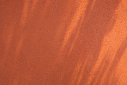 background of orange wall in sunlight
