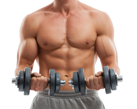 Muscular man holding dumbbells with strong arms and defined chest, fitness enthusiast training upper body, isolated on transparency background, healthy lifestyle motivation