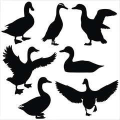 Seven duck silhouettes strike various poses with outstretched wings against a white background, showcasing varied avian behavior