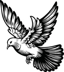 flying dove bird animal.line art vector illustration template design