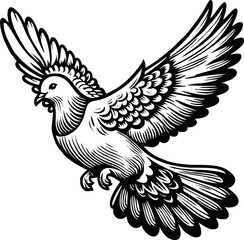 flying dove bird animal.line art vector illustration template design