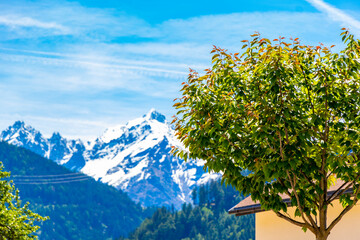 Lechtal Austria alpine mountain landscape panorama blue sky behind trees.