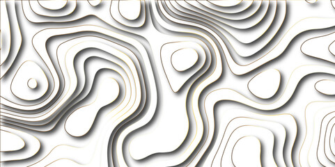 paper cut 3d render topography abstract, beautiful white Background .Topographic canyon geometric map relief texture with curved layers and shadow. abstract White background with a beautiful pattern, 