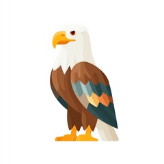 Obraz premium A majestic eagle stands tall, its brown and white plumage gleaming against a bright white background. A powerful symbol of freedom and strength.
