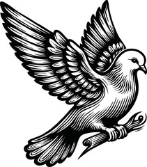 flying dove bird animal.line art vector illustration template design