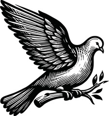 flying dove bird animal.line art vector illustration template design