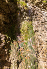 soil section in nature, perfect species and structure of various origins