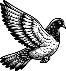 flying dove bird animal.line art vector illustration template design