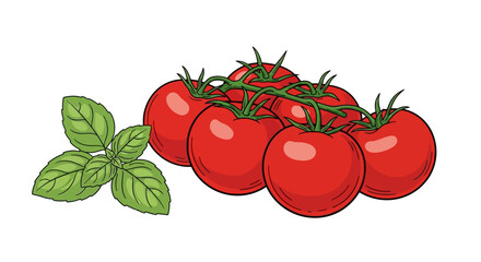 Tomatoes and Basil: Fresh Culinary Ingredients Illustration © Luppy Studio