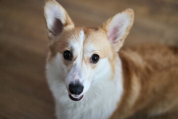 This is a closeup view of a disassembled laptop along with various repair tools arranged on a wooden table