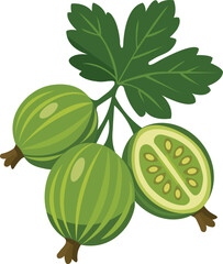 Fresh Amla or Gooseberry with Leaves Flat Illustration