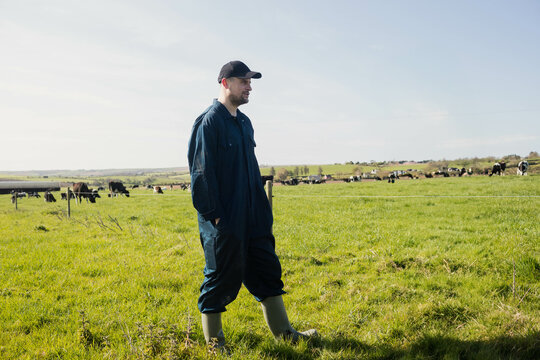 Male farmer standing wearing coveralls and boots in pasture watching grazing cows across fence