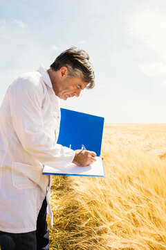 Bright blue binder lying among golden wheat stalks on farmland under pale blue sky