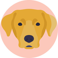 Golden Retriever with a friendly expression and fluffy tail, sitting upright.