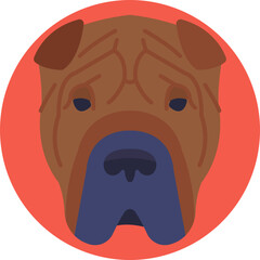 Shar Pei: A medium-sized dog with deep skin folds and a broad muzzle, originating from China.