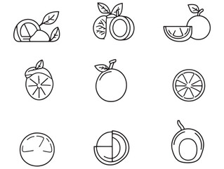 Orange Sorbet Line Art Illustration With Citrus Theme 