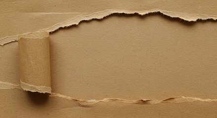 Torn Paper Revealing a Textured Background with a Rolled Edge and Empty Space