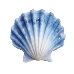 A beautifully textured blue seashell displayed against a white isolated background, showcasing intricate patterns and colors, ideal for coastal themed designs.