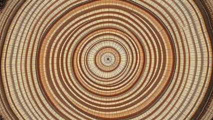 Fototapeta premium Close-up of a tree trunk cross-section exhibiting annual growth rings. The rings vary in size and width and are predominantly light brown, indicating periods of tree growth.