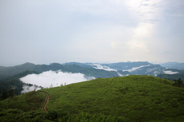 Wrapped in green, hidden in clouds