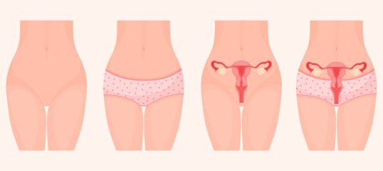 Vector cartoon image of female body and uterus location. Body study concept. Element for your design