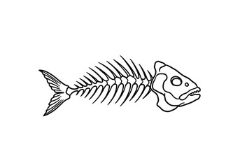 Fish bone drawing. It is a black and white outline image of a fish skeleton, showing the bones, spine, and skull structure. Vector sketch line art draw.