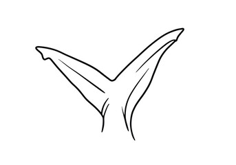 Obraz premium Shark tail drawing. It is a black and white outline image of a shark's tail, specifically its powerful caudal fin, indicating movement. Vector sketch line art draw.