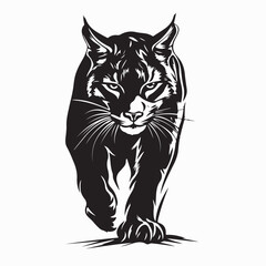 Bobcat Walking vector Images Isolated on white background.