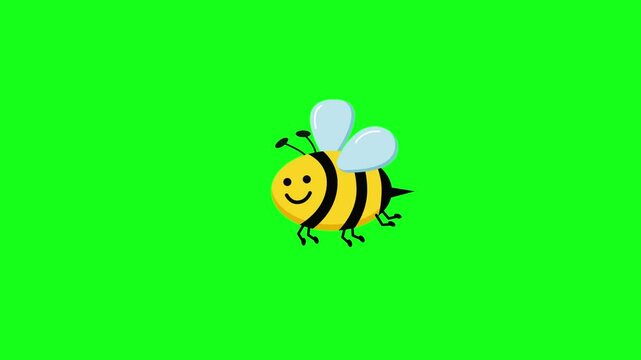 Animation of a blinking bee on a green background